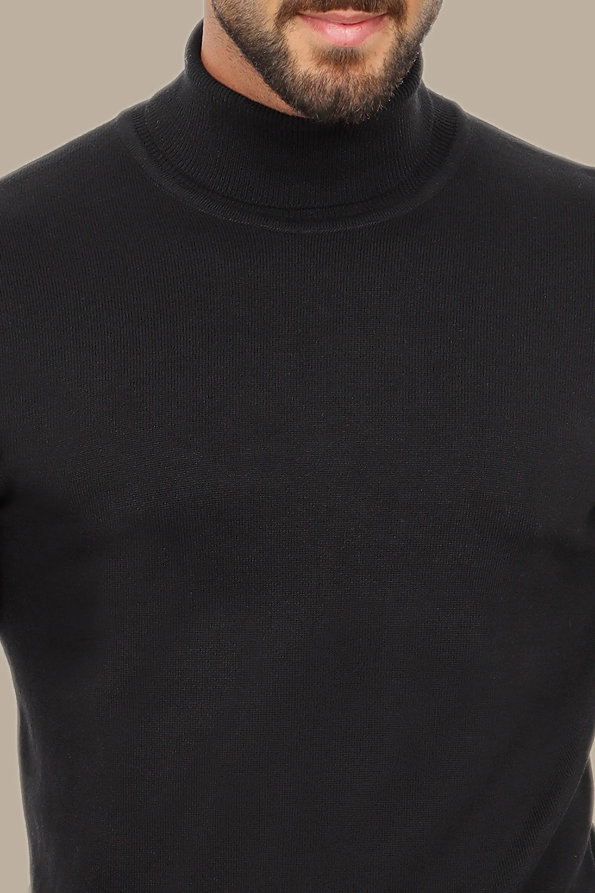 Black Turtle Neck Basic Sweater