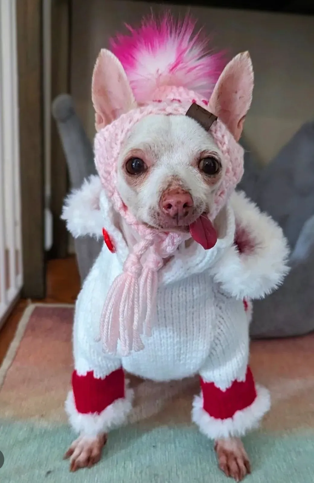 Cozy Paws Valentines Pupper Beanie