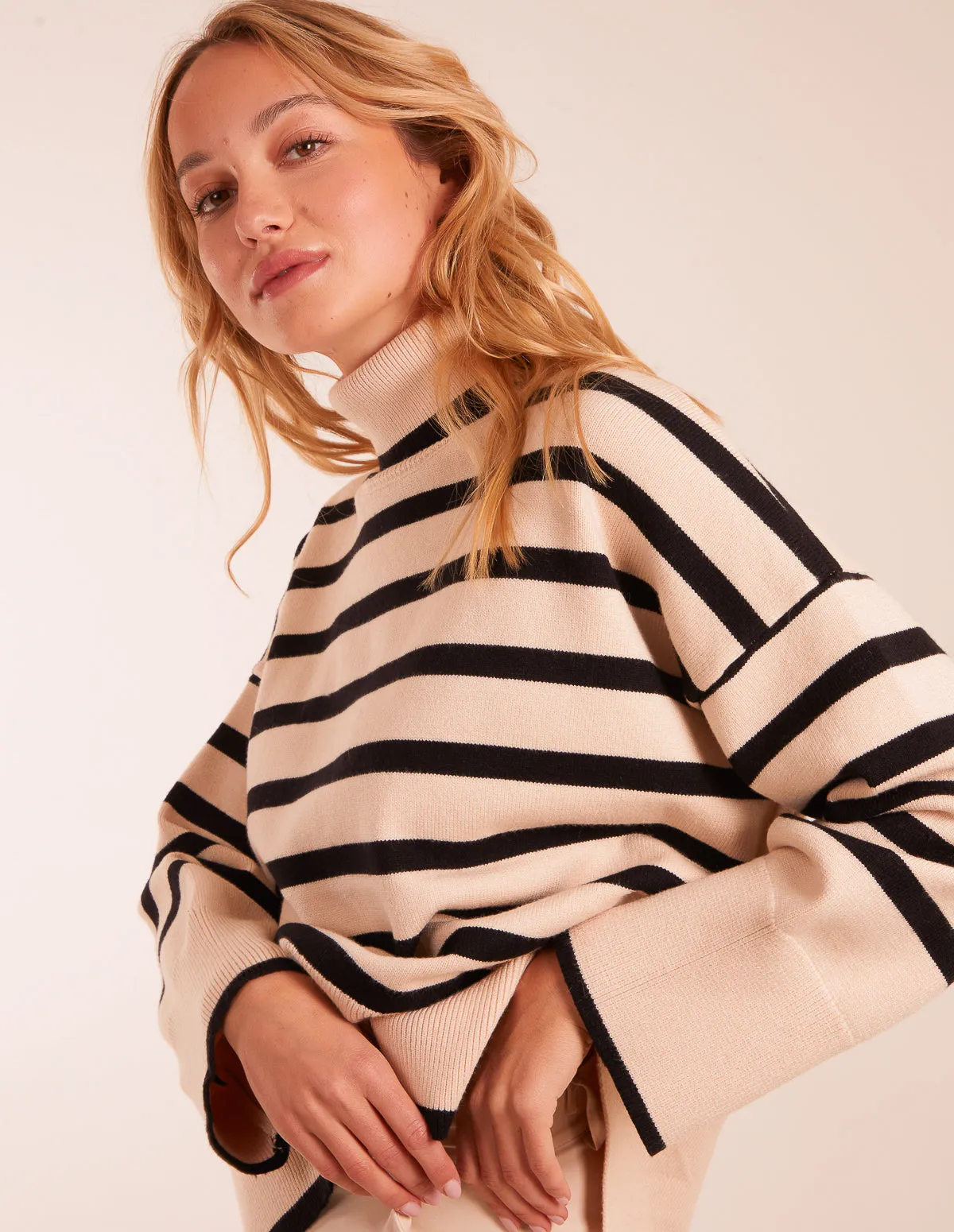 Wide Stripe Roll Neck Jumper