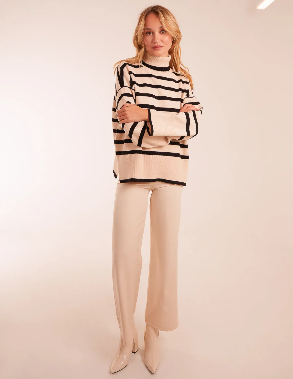 Wide Stripe Roll Neck Jumper